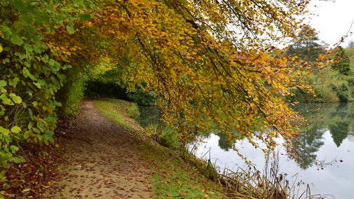 Path near the water at Prior Park in Bath, with overhanging branches covered in autumn leaves.